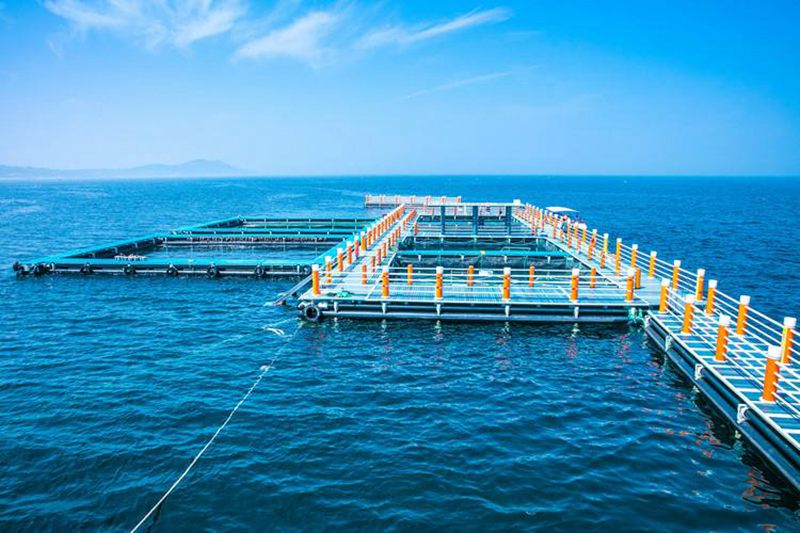 Aluminum Should be the Dominant Material for Building Offshore Aquaculture Infrastructure 1
